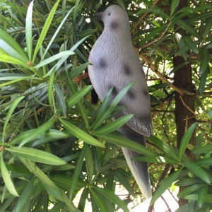 Simulation 3D Turtledove en plastique Dove Hunting Oiseaux Chasse en plein air Découvre Decoy Jardin Décoration Ornements