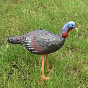 Elong Outdoor 41T3D2 3D Poulet Taris à l\'arc de tir à la chasse à l\'arc utilisant une cible de vie