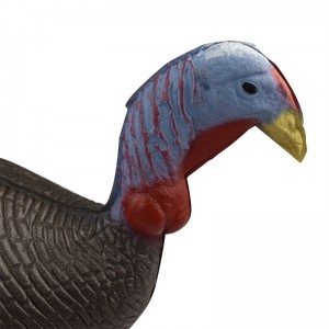 Elong Outdoor 41T3D2 3D Poulet Taris à l\'arc de tir à la chasse à l\'arc utilisant une cible de vie