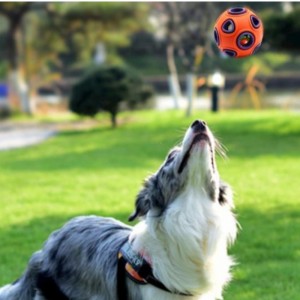 Toys de chien flottant LED