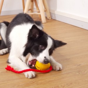 Jouet de chiens de collation en caoutchouc