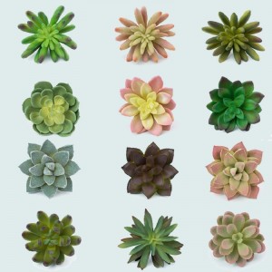 mini plantes succulentes artificielles