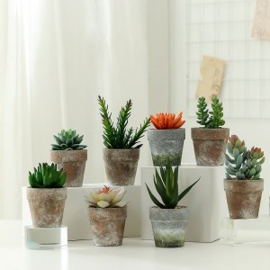 Vente chaude Plante succulente artificielle en papier pulpe de papier