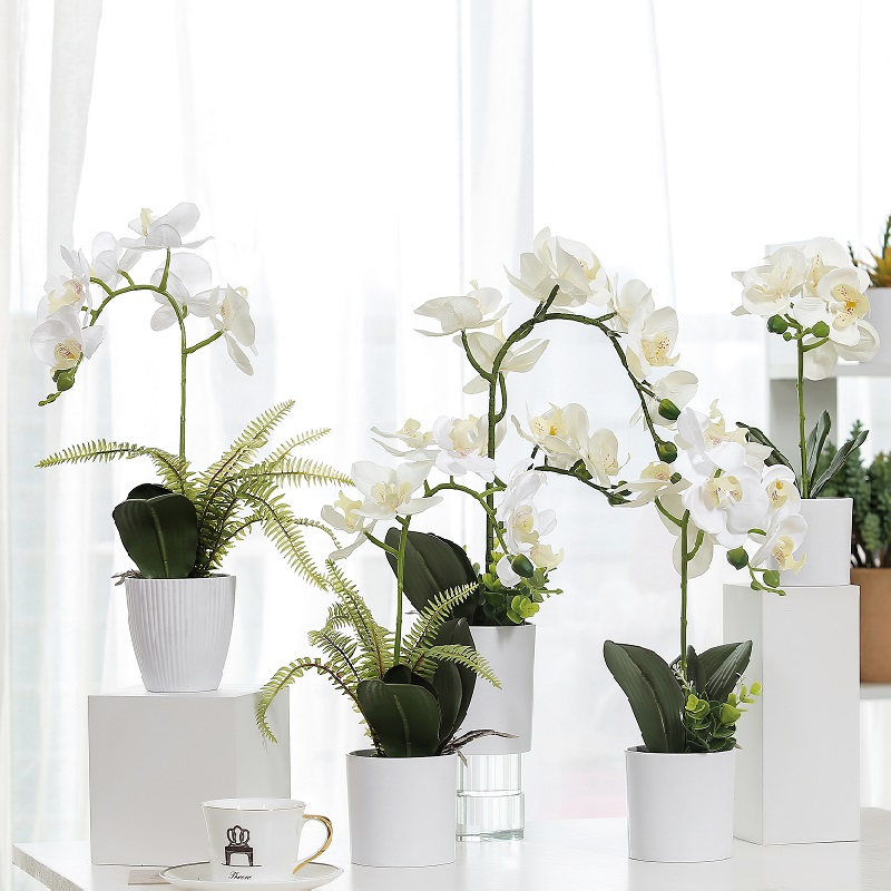 Vente chaude Véritable Touch Véritable Orchidée artificielle en pot