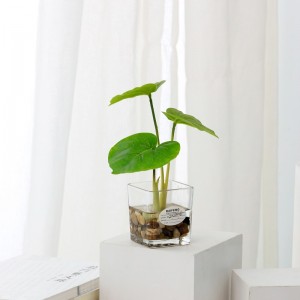 Plante artificielle en pot dans l\'eau d\'imitation avec des articles de verre
