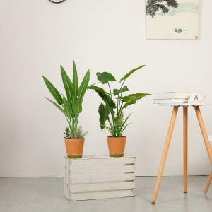 Plante artificielle de style moderne de haute qualité en pot à vendre