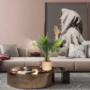 Plants artificiels en plastique décoratif pour salon avec de haute qualité et une sensation de grande beauté et réelle touchée.