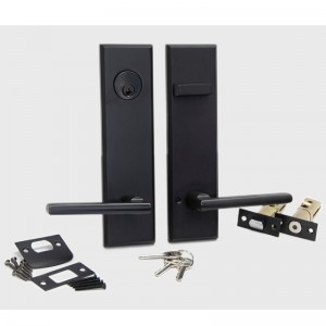 6201 Ensemble de levier tubulaire de verrouillage de porte à longue plaque, poitrine de poignée en alliage de zinc de haute qualité moderne pour porte d\'entrée et porte extérieure