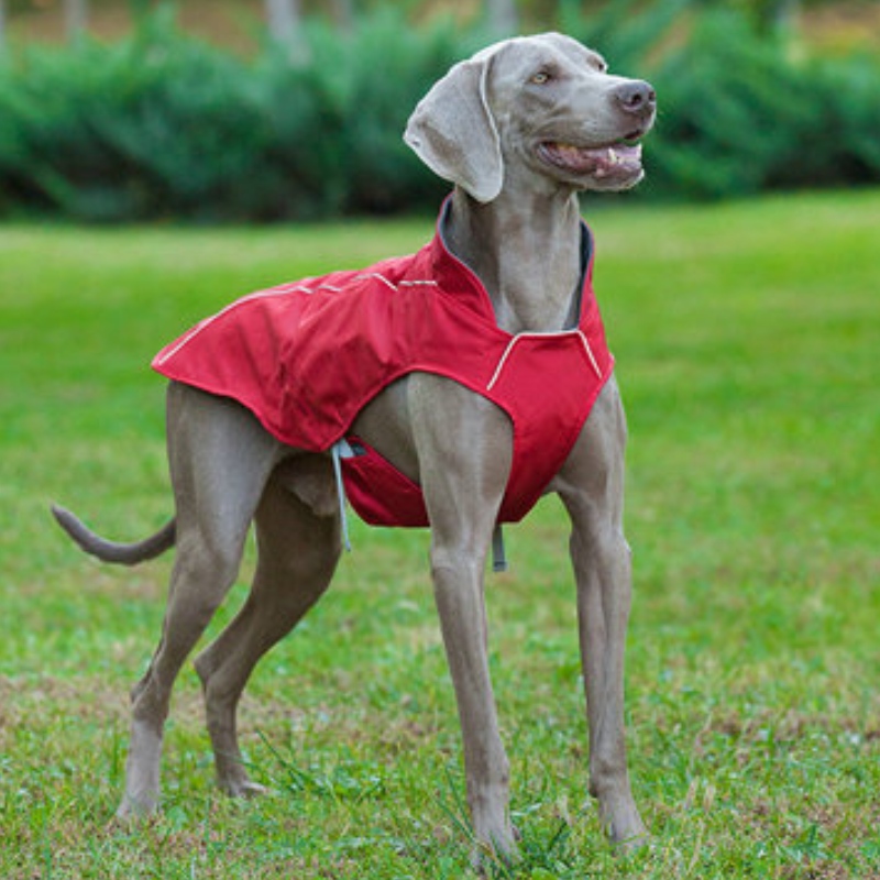 Manteau de chien réfléchissant de style classique imperméable veste de chien d'hiver réglable réversible léger réversible