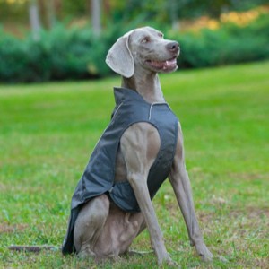 Oem/odm mignon petit chien manteau manteau sweat tissu sweat-shirt chiot chat pull tissu en gros chien hiver manteau