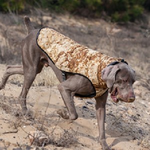 Amazon vente chaude Nouvelle animal de compagnie Vêtements chien Vêtements automne et hiver Épaissement Élastique Élastique Pull Pull Pull