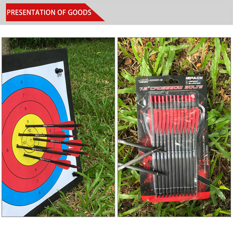 Broadhead vs Fieldpoint Cobra R9 Boulons de flèches croisées additionnelles