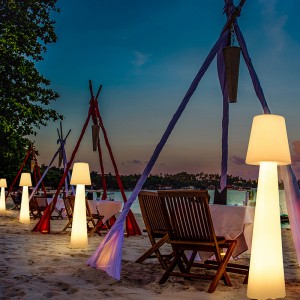 Festival décoratif en polyéthylène extérieur LED debout lampadaire pour la pelouse de jardin et la décoration d\'événement extérieur éclairage lampadaire LED