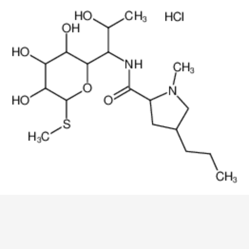 Chlorhydrate de lincomycine