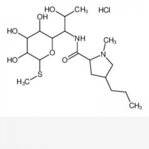 Chlorhydrate de lincomycine