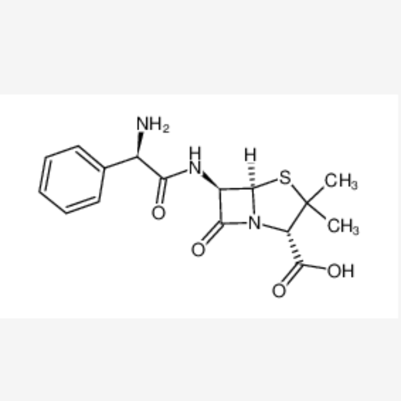 Ampicilline