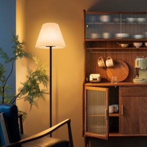 Outdoor/indoor Touch Control RGB LED Plancher lampadaire, lampes debout européen modernes lampadaire de décoration intérieure pour le salon, chambre, hôtel, jardin, bureau (11 * 60,2 pouces)