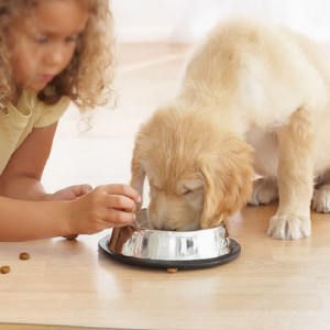 2022 Mat de chaise de vente chaude Amazon pour protection contre le sol en bois dur