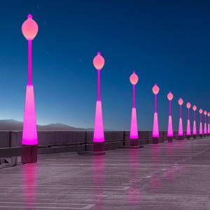 Garden extérieur LED STREET LUMIÈRE AVEC POSE, 60W RVB Couleur changeant belle étape étanche pour jardin, patio, parc, école, pelouse, villa, éclairage de rue et décor