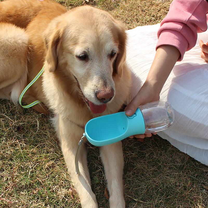 Food Grade Plastic Fé épreure portable Puppy Dispenser Disenser Dog Water Bottle with Brinking Feeder For Pet Talking Outdoor Randonnée de randonnée