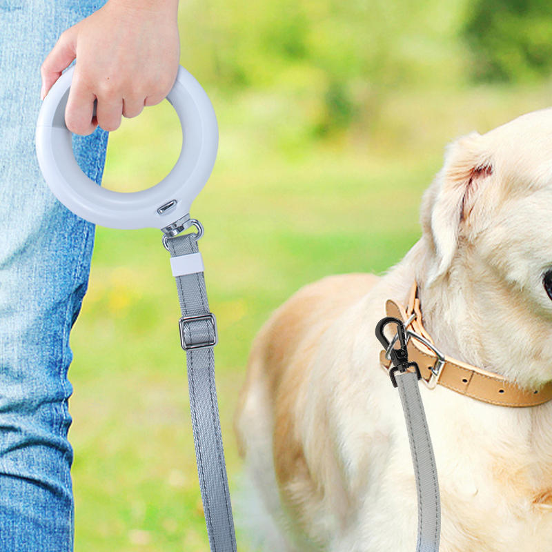 Enchevêtrement enchet de chien LED réfléchissant gratuit