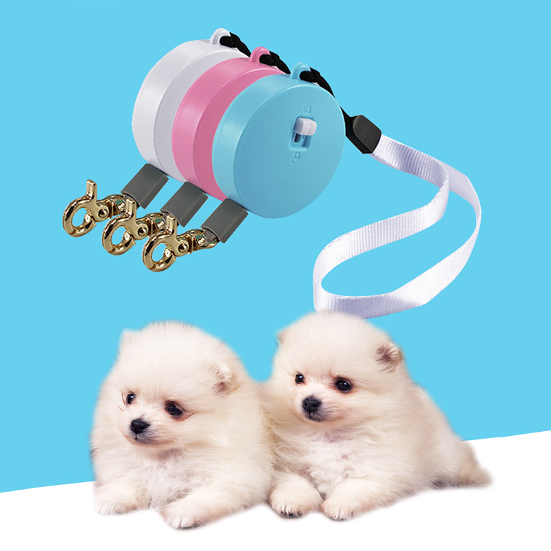 Laisse de marche portable mini laisse de chien rétractable pour les chats de petits chiens