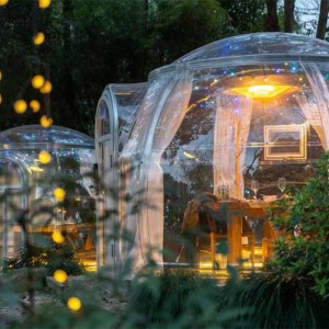 3,3 mètres de tente de dôme transparent économique géodésique en plein air tente de dôme de camping pour hôtel de villégiature, camping, activités de plein air