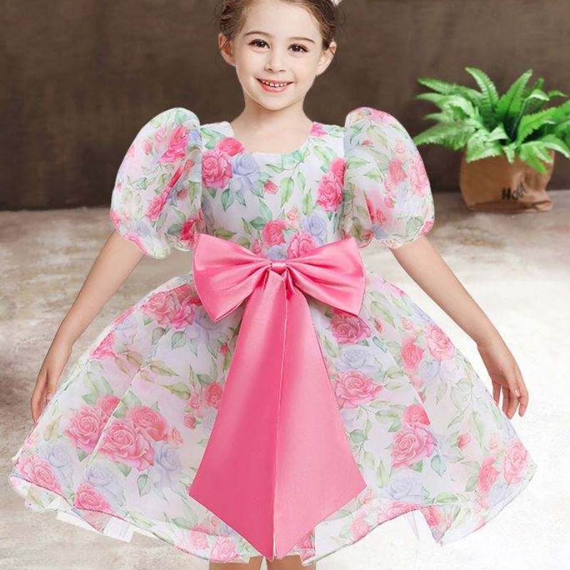 Baige New Mode Wedding Party Princess Toddler Bébé filles vêtements pour bébé