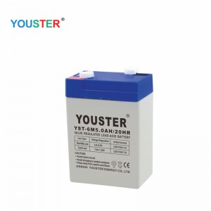 YouSter Lead Acid Battery 6V 5.0AH Batterie Utilisation pour l\'éclairage/UPS/CCTV/HOME Appliance/Solar/inverter