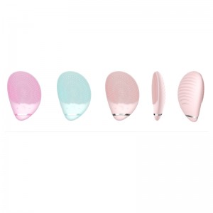 Pinceau facial en silicium