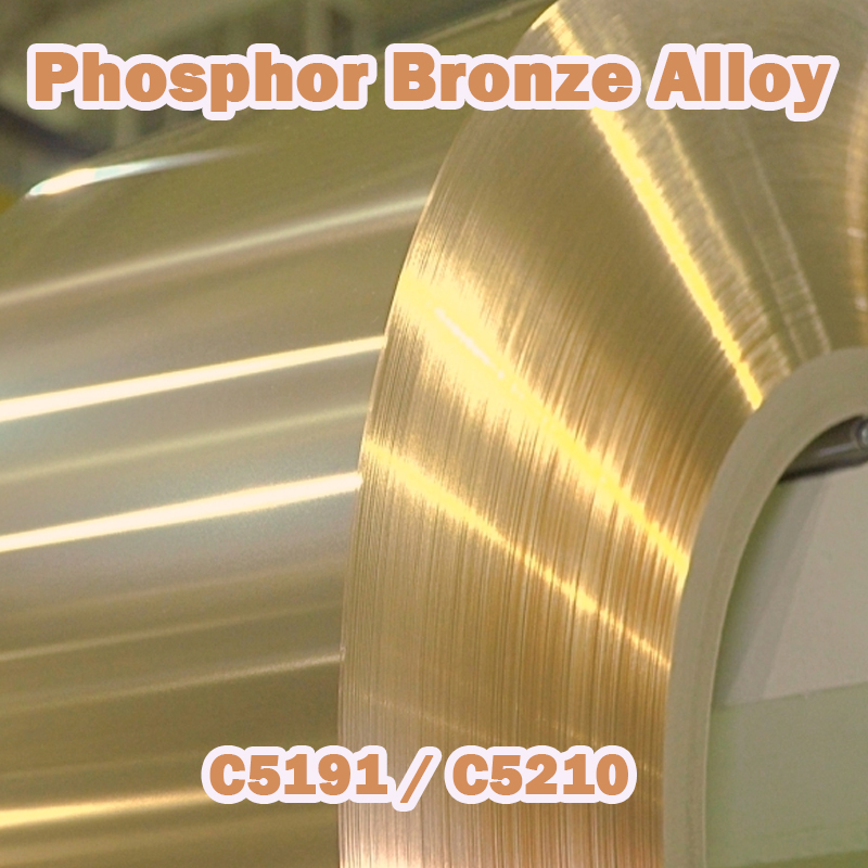 C5191 C5210 Phospor Bronze Alloy Series