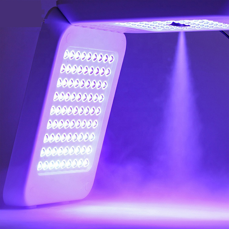 2022 Nouvelle thérapie LED Thérapie photonique faciale lampe/PDT Spray LED Machine légère oméga pour le supplément denano