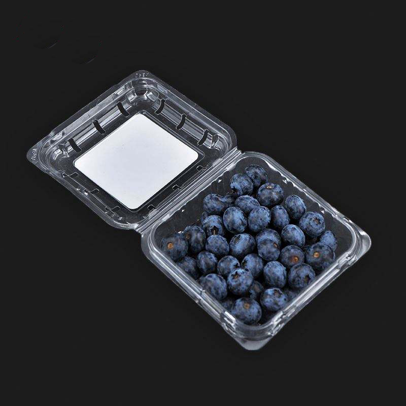 125g en gros en gros transparent Clamhell Blearberry Clamhell Packaging Fruit Container