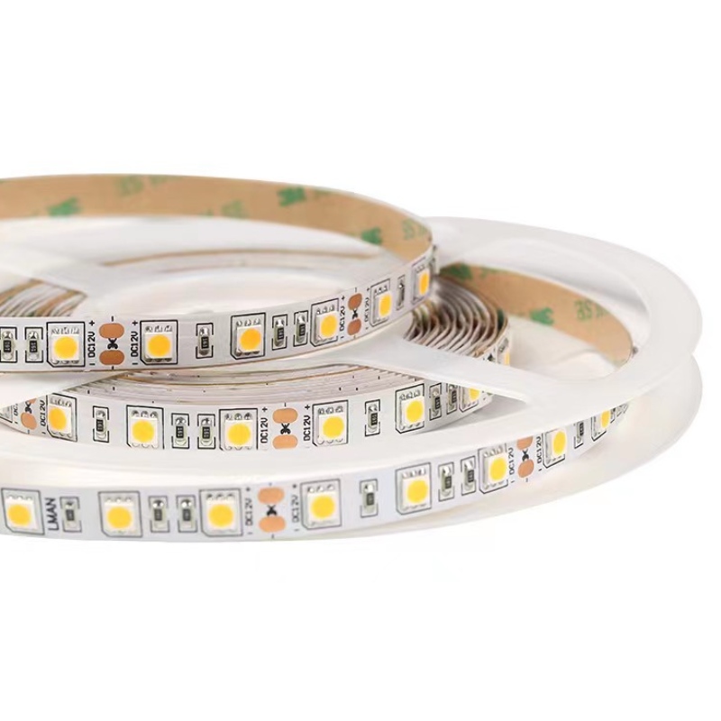 Décoration intérieure étanche SMD 5050 LED LEMINS AMBIENCE PRO