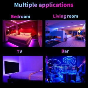 Decoration intérieure 12V Smart Control SMD 5050 LED LED RVB LEDS