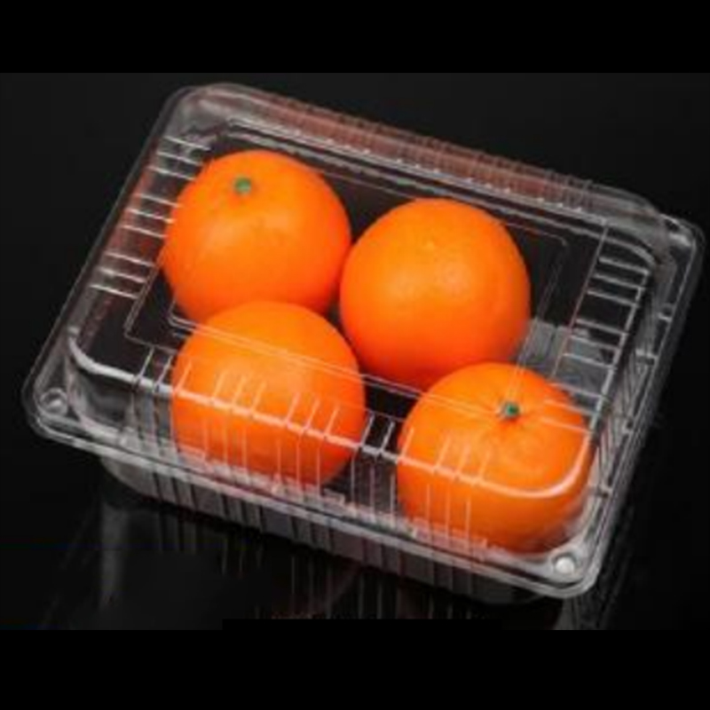 Boîte à fruits avec couvercle 235 * 170 * 90 mm HGF-54c