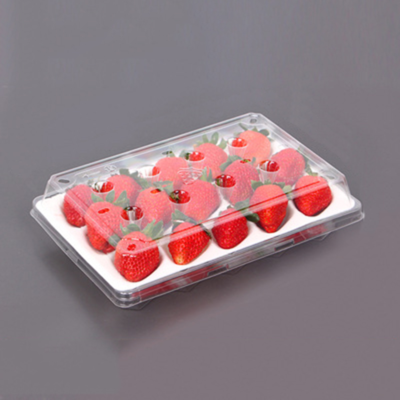 Boîte aux fraises (15 fraises) 225 * 120 * 40 mm cm-15
