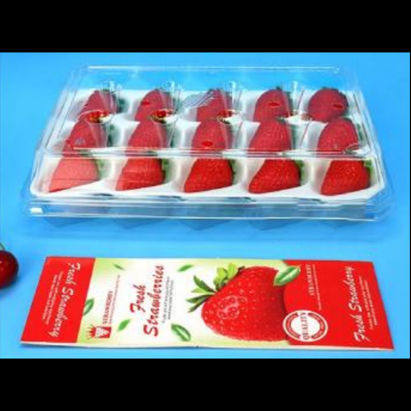 Boîte aux fraises (15 fraises) 225 * 120 * 40 mm cm-15