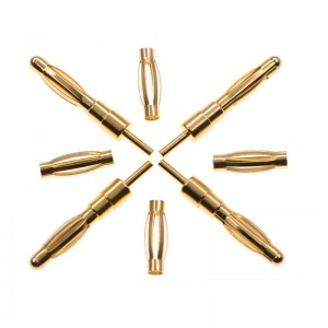 Bouchue et socket de banane