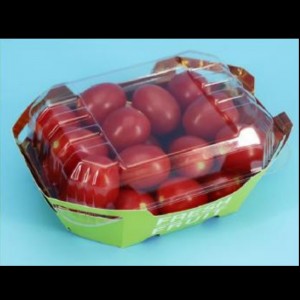 Boîte aux fruits HGF-T500 500 g