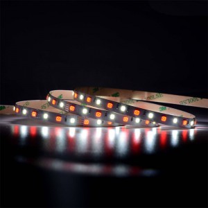 5050 60leds/m RVBW LED Strip