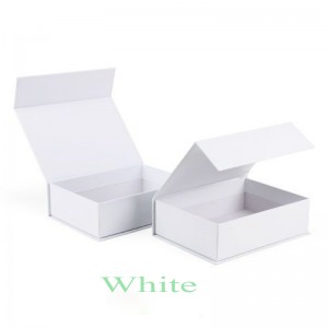 Boîte-cadeau d\'aspiration magnétique de couleur ordinaire