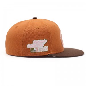 OEM/ODM 6 PANNEUX PANNEME PERSONNE CAPS CAPS FAUTÉS LOGO