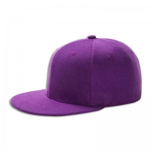 Capure de chapeau Snapback Soft-Back Soft Soft de haute qualité de haute qualité avec logo de broderie d\'impression.