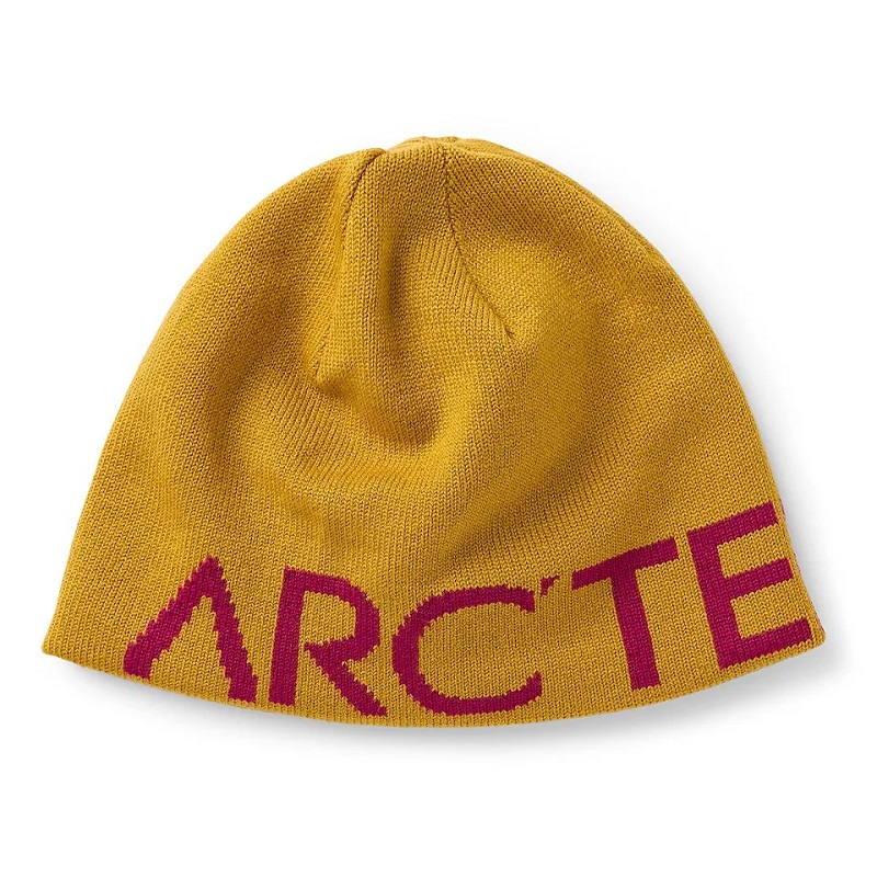 Jacquard Logo Capes de bonnet de bonnet Chapeaux d'hiver en laine