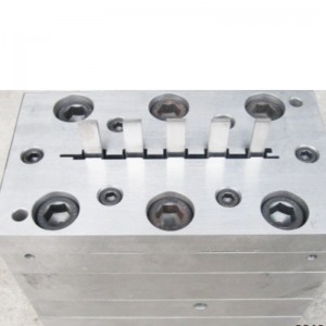 PVC en bois et moisissure moussante