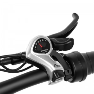 Bike électrique de 20 pouces de gros pneu