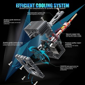 Bulbes de phares D1S/r LED