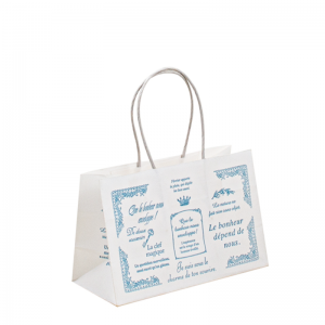 Sac en papier personnalisé avec votre propre logo, sac en papier convivial éco jetable avec poignée torsadée, imprimement des sacs en papier kraft marron