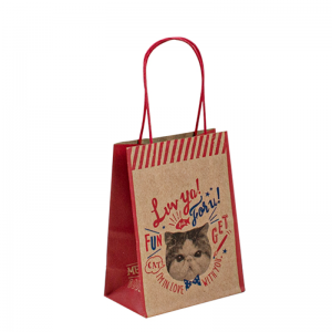 Sac denourriture en papier personnalisé marron recyclable Handle de shopping